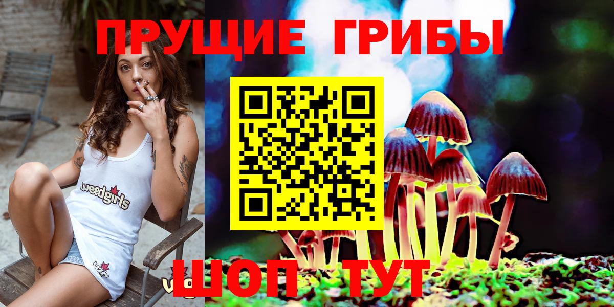 Видное  Галлюциногенные грибы MAGIC MUSHROOMS  Галлюциногенные грибы Psilocybe  Вход с VPN 