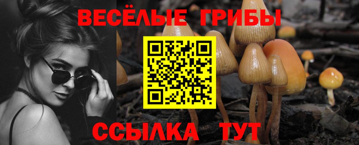 Псилоцибиновые грибы Magic Shrooms Видное